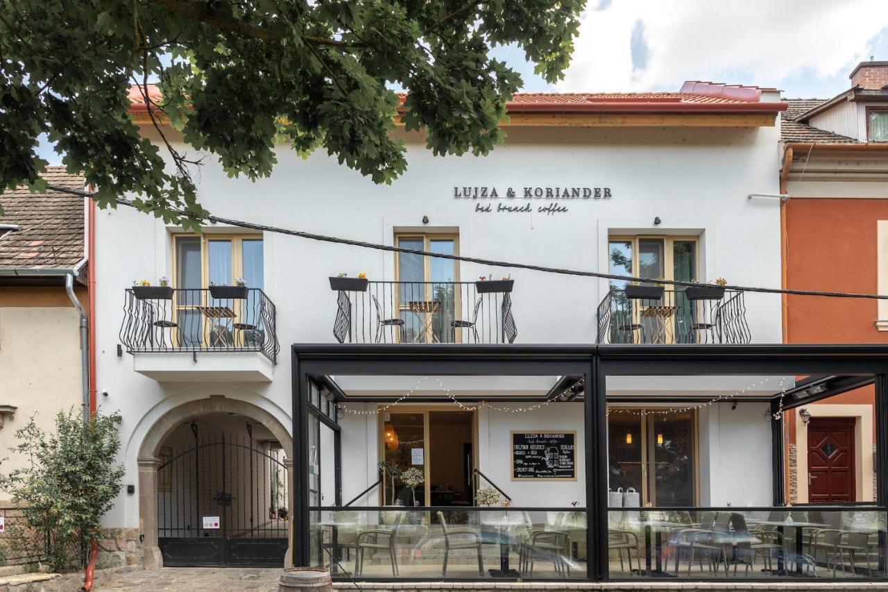 Bed and Breakfast Lujza & Koriander Vác Zewnętrze zdjęcie